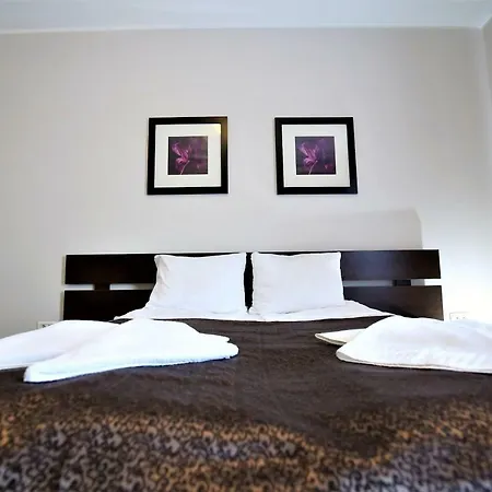 Guest house Pensiunea Taka Orsova